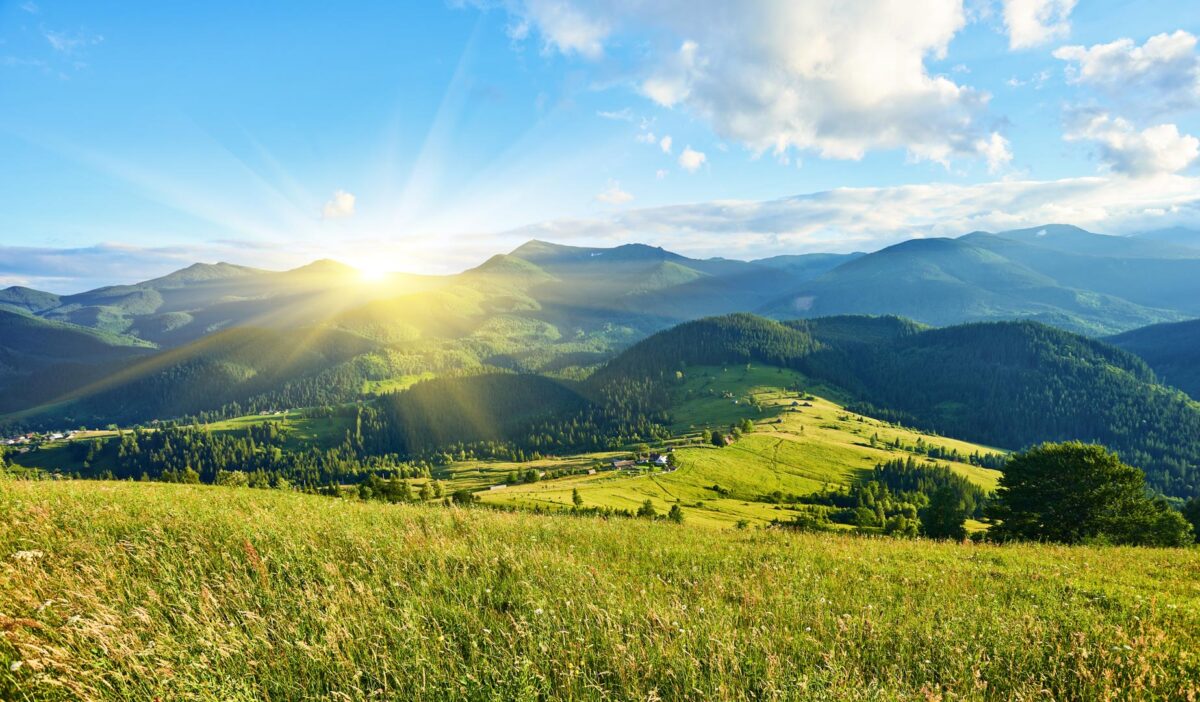 Idyllic landscape in the Alps with fresh green meadows and blooming flowers and snow-capped mountain tops in the background